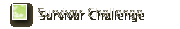 Survivor Challenge